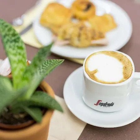 Alfa Tao Риччоне