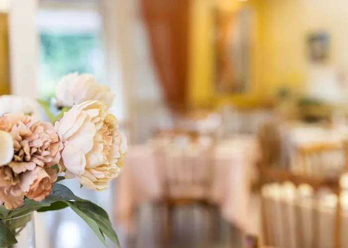 Szálloda Alfa Tao 3*